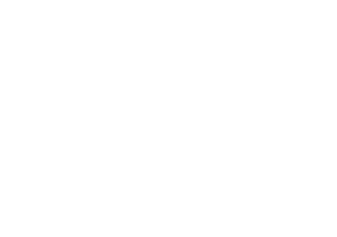 Belal Ashmouti